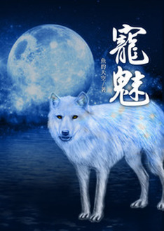 官场布衣